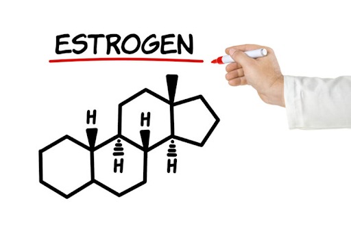 Hormone estrogen có tác dụng gì? Thiếu hụt điều trị như thế nào?